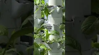 DIY Vertical Garden with Pallets 🌱🛠️#GardeningDIY #VerticalGarden #EcoFriendlyProjects