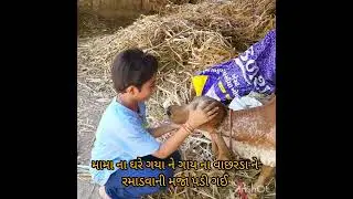 #saumya vlog  # daily # trending shorts # video # krankach # liliya