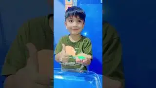 #STEMforKids#FloatingBoatExperiment#WaterExperimen#FunWithScience#PreschoolScience#CuriousMinds