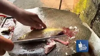 Wow Amazing !! Mastering Alive Fish Cutting Skills - Tips and Techniques for Perfect fish cutting