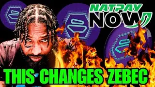 The Shocking Truth About ZEBEC and NATPAY's Future Plans