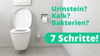 Toilette reinigen: Hausmittel und Anleitung (7 Schritte)