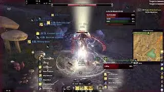 Wuyuvus World Boss Solo Magicka Templar - Wrathstone