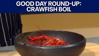 Crawfish boil, zoo, sewing, coffee & cocktails : Good Day Austin Round-Up | FOX 7 Austin