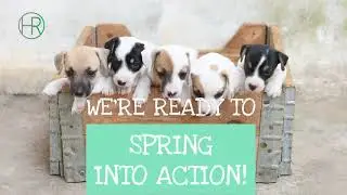 Selling Your Home In Golden CO    Real Estate Broker Golden CO    Denver CO   Orson Hill Realty