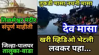 तिलसेश्वर महादेव मंदीर आणि चमत्कारी देव मासे | Tilsa Shiv Mandir | Tilasa dev masa | Mahashivratri