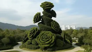The Most Peaceful and Beautiful Gardens on Earth