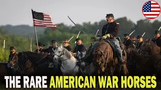 РЕДКИЕ АМЕРИКАНСКИЕ БОЕВЫЕ ЛОШАДИ, УТРАЧЕННЫЕ ДЛЯ ИСТОРИИ!