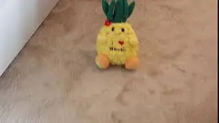 pineapple.jpg