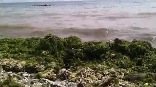 Бухло vine 7 sec