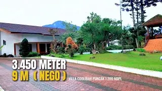 VILLA PUNCAK DIJUAL | 3.450 METER | 9 M ( NEGO )
