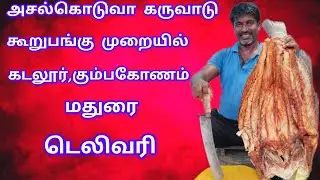 Original Sea Bass Dry Fish Cutting#Dry Fish Cleaning Method #அசல் கொடுவா#கருவாடு#சுத்தம் செய்தல்#Dry