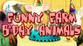 Happy Birthday Animals - Funny Farm