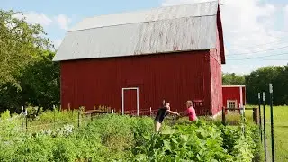 Wisconsin Life | Net Zero Farmer