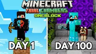 I Survived 100 Days on One Block in Minecraft! (quit)