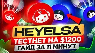 HeyElsa AIRDROP НА 1 200$ ПОЛНЫЙ ГАЙД ЗА 11 МИНУТ | ТЕСТНЕТ HEYELSA КАК ПОЛУЧАТЬ XP