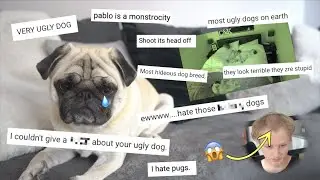 Reacting to Pug Hate Comments!