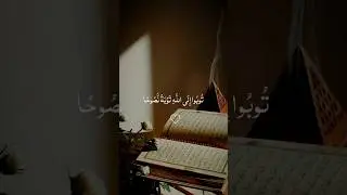 Calm your heart with Quran | القرآن شفاء #islamicshorts #quran #recitation