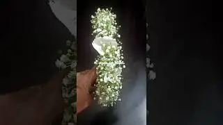 Baby breath wedding hair accessory 👰🏼&zwj;♀️💐💐