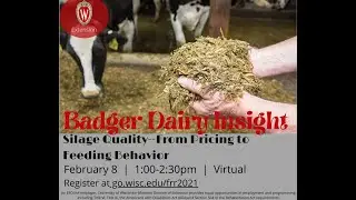 Silage Quality - From Pricing to Feed Behavior - Luiz Ferraretto