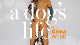 A Dog's Life Archive: Rupert Sheldrak