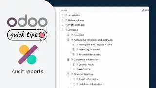 Odoo Quick Tips - Audit report [Accounting]