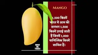 Mango History