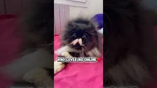 🦁What&rsquo;s your morning routine?
