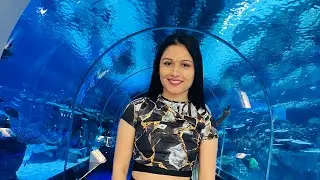 Biggest aquarium in qatar | Hamad port visitors center | 4D cinema