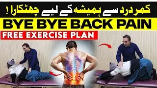 Instant Back Pain Relief in Just Minutes | Easy Exercises #backpain  #backpainrelief