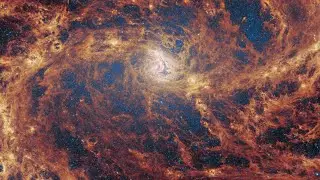 Webb uncovers possible hidden supermassive black hole in nearby spiral galaxy M83 #webbtelescope