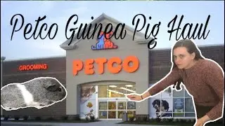 Guinea Pig Petco Haul
