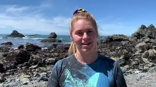 Tidepool Exploration