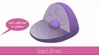 Cell History
