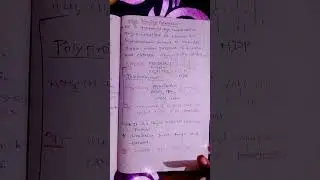 example of addition polymer..