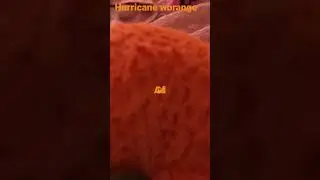 Hurricane worange