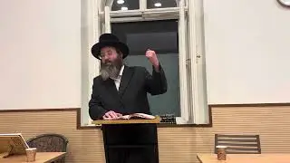 Rav Moshe Stern - כי תצא
