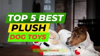 Top 5 Best Plush Dog Toys Review of 2025 l Best Plush Dog Toys Price on Amazon