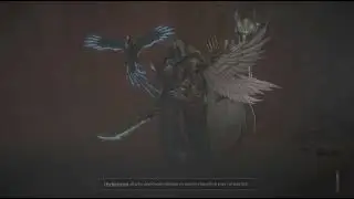 Blessed Shield Paladin