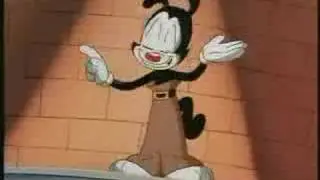 Animaniacs Do The Numa Numa!