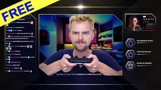 FREE Twitch Overlay Pack with Screens, Banner, Offline image, Panels, Camera border, etc...