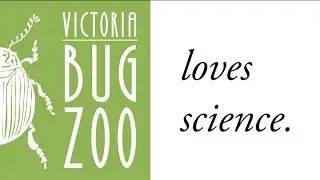 The Victoria Bug Zoo loves science!