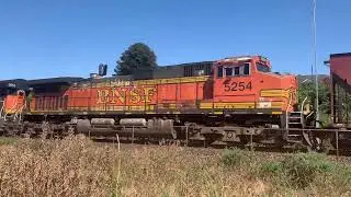 July 2025 full railfanning Edmonds Beach Park, ft. yellow DEERE excavator