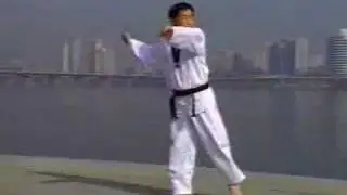 taeguk1