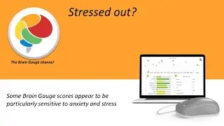 Stress, anxiety and the Brain Gauge