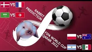 FIFA World Cup 2022 | Rabbit predict who will win !