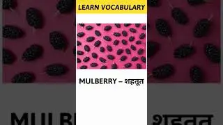 Mulberry Meaning in Hindi | Learn Vocabulary Shorts