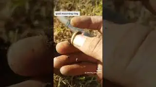metal detecting gold