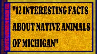 12 INTERESTING FACTS ABOUT ANIMALS THAT HAVE LIVED IN MICHIGAN!!!!!