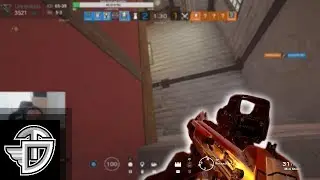 TangyD Stream Highlights #2